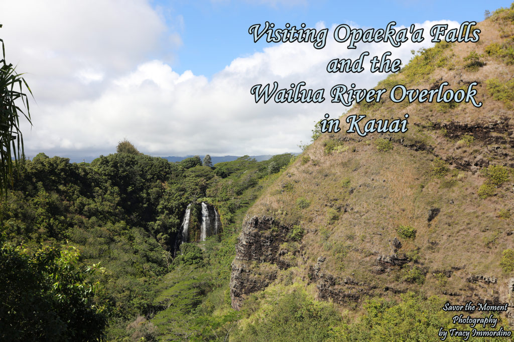 Visiting Opaeka'a Falls and Wailua River Overlook in Kauai