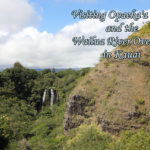 Visiting Opaeka'a Falls and Wailua River Overlook in Kauai