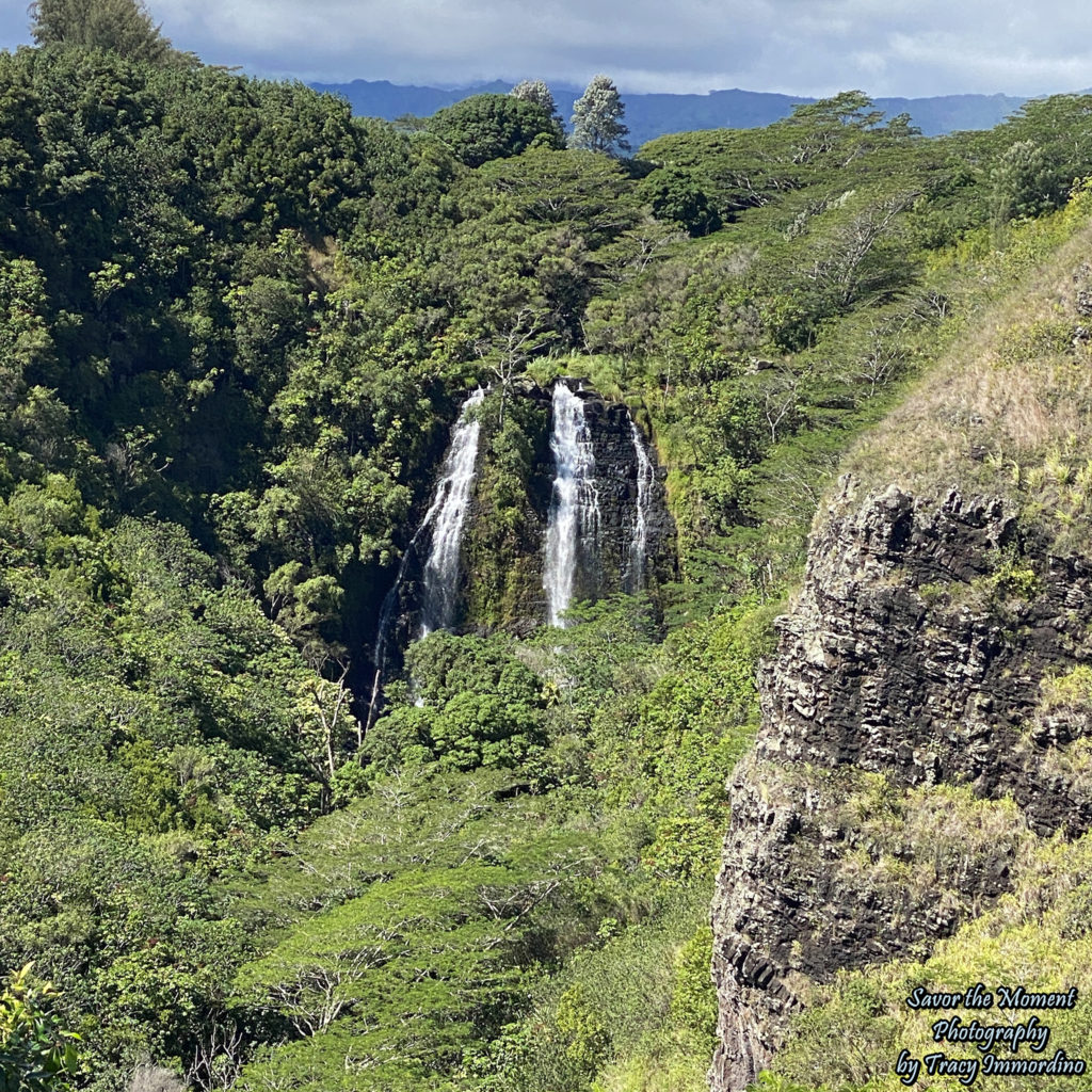 Opaeka'a Falls in Kauai