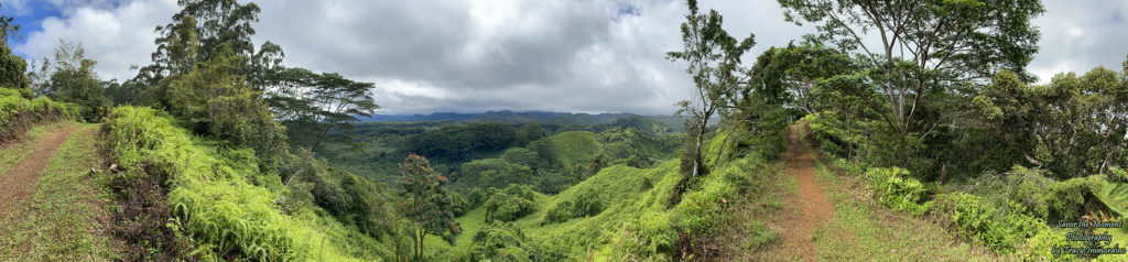 A View from the Kuilau Ridge Trail in Kauai