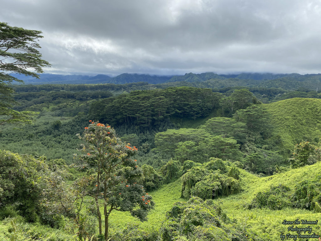 A View from the Kuilau Ridge Trail in Kauai