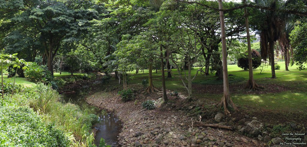 McBryde Gardens in Kauai