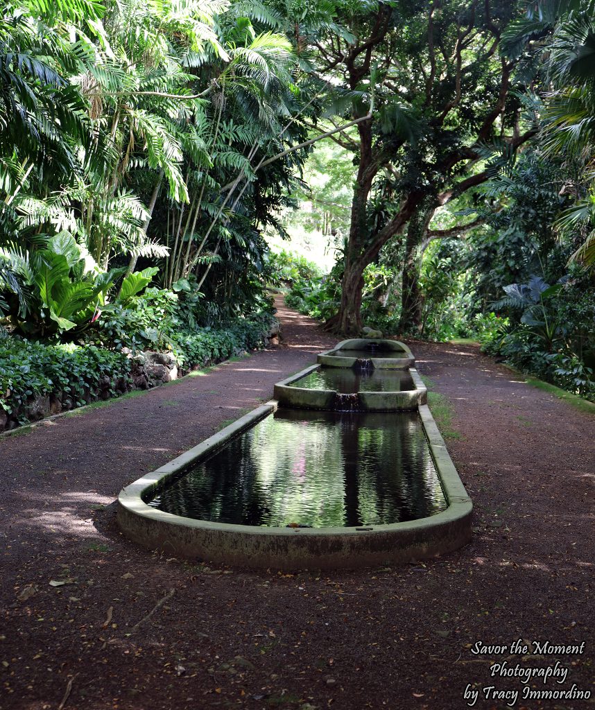 Three Tiered Reflection Pond at Allerton Gardens