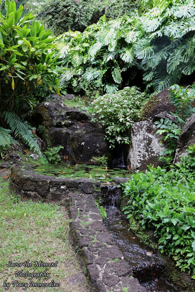 Waterfall at Allerton Gardens