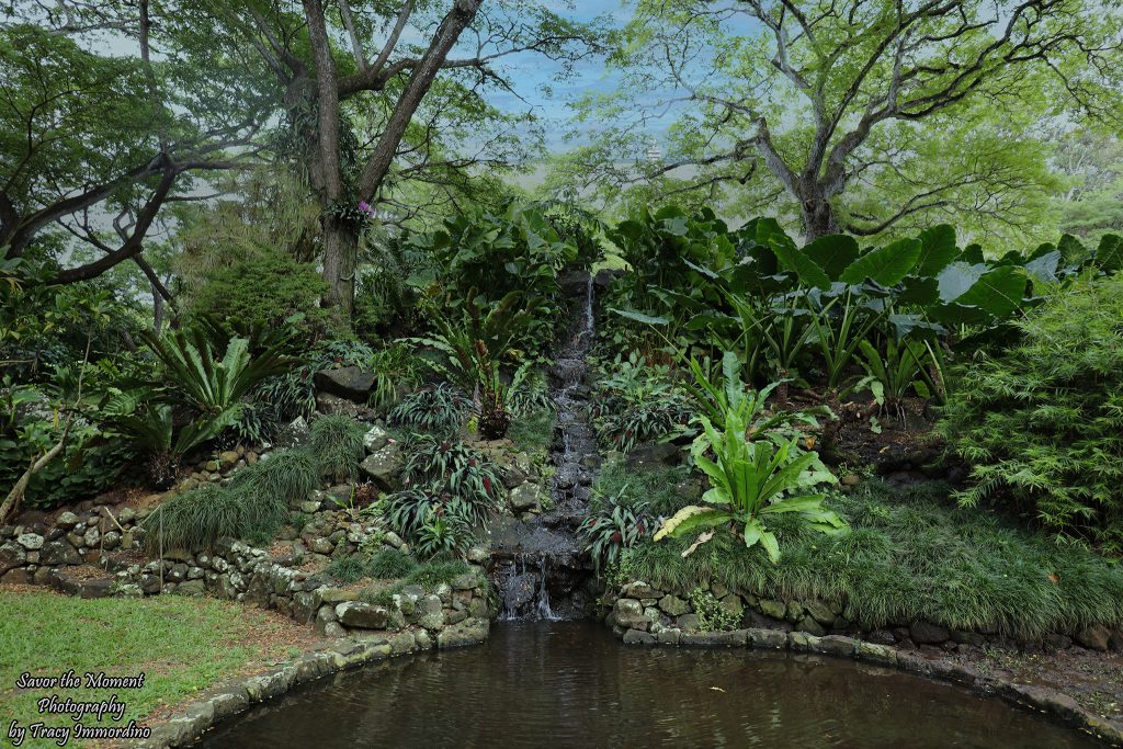 Allerton Gardens in Kauai