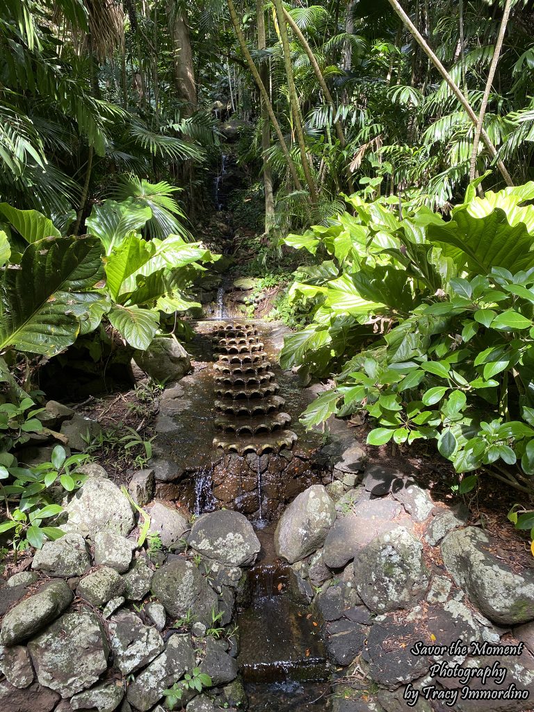 Waterfall at Allerton Gardens