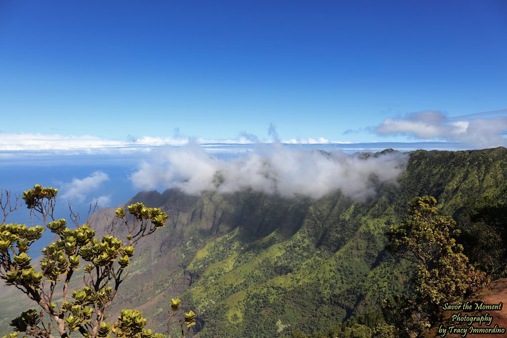 Pu'u O Kila Lookout