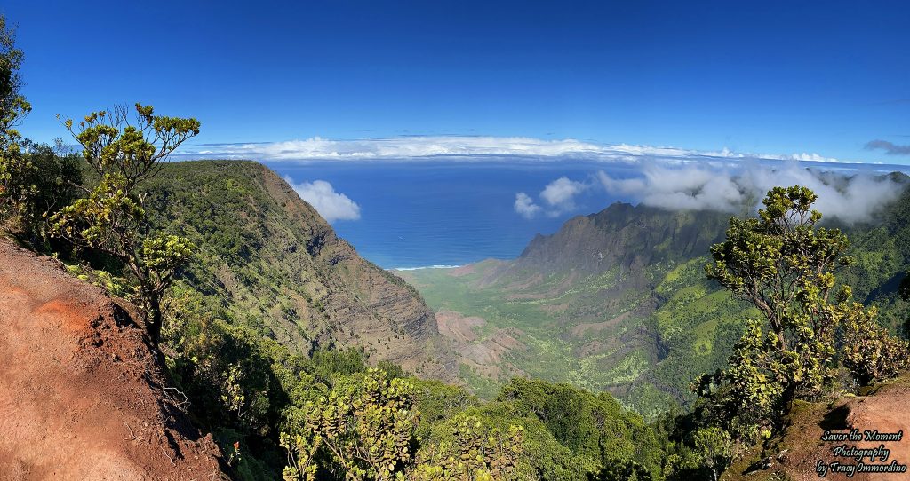 Pu'u O Kila Lookout