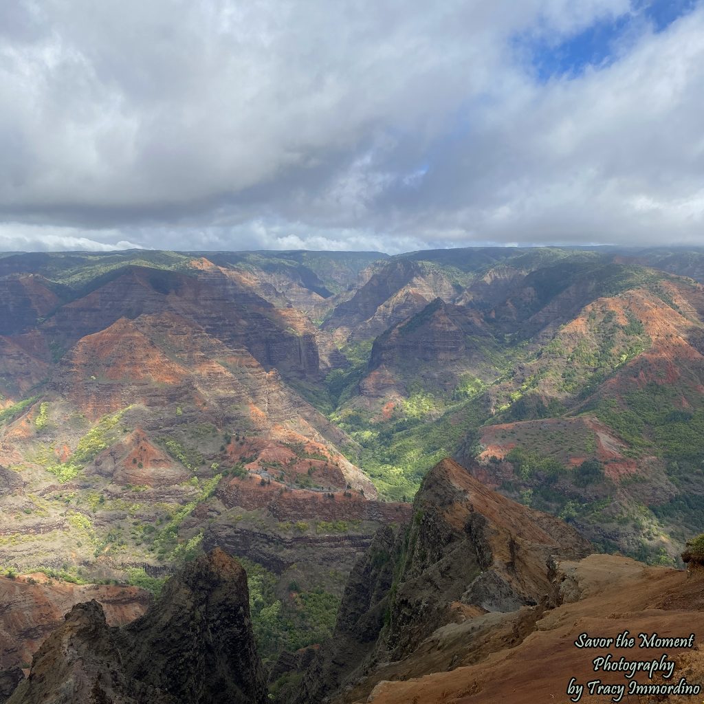 Pu'u Hinahina Lookout