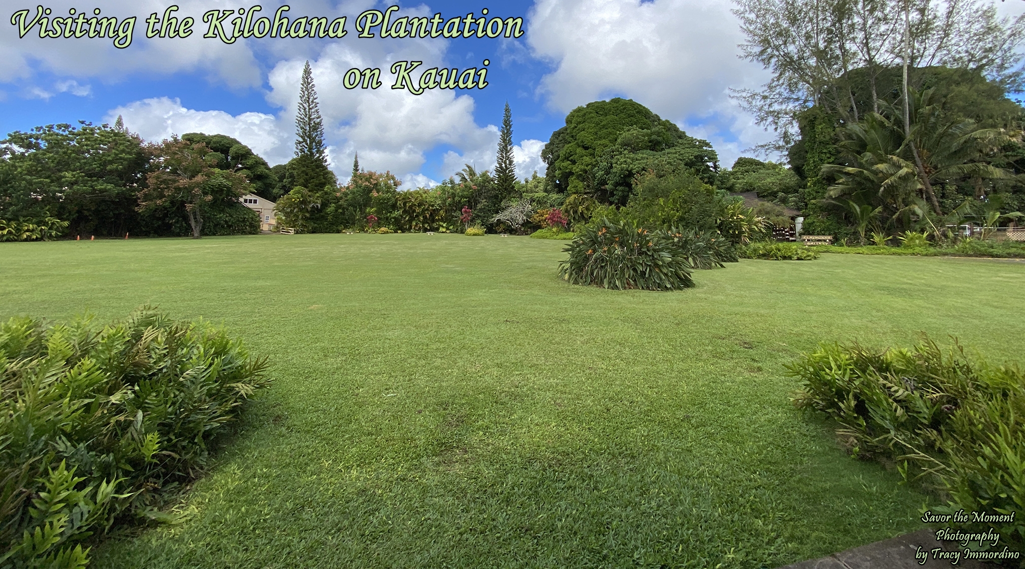 Visiting the Kilohana Plantation on Kauai