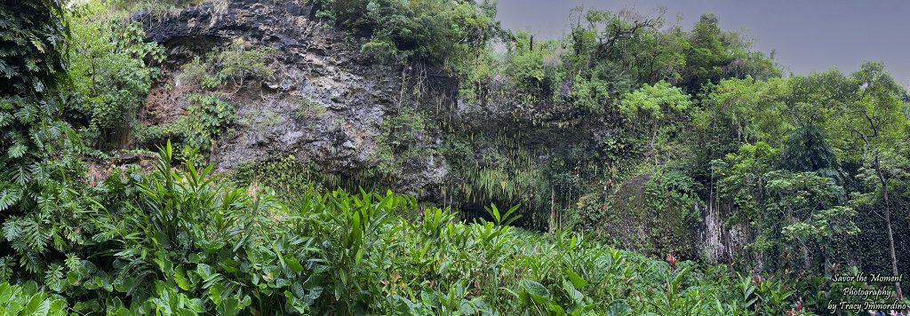 The Fern Grotto in Kauai