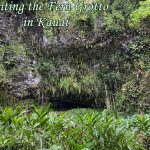 The Fern Grotto in Kauai