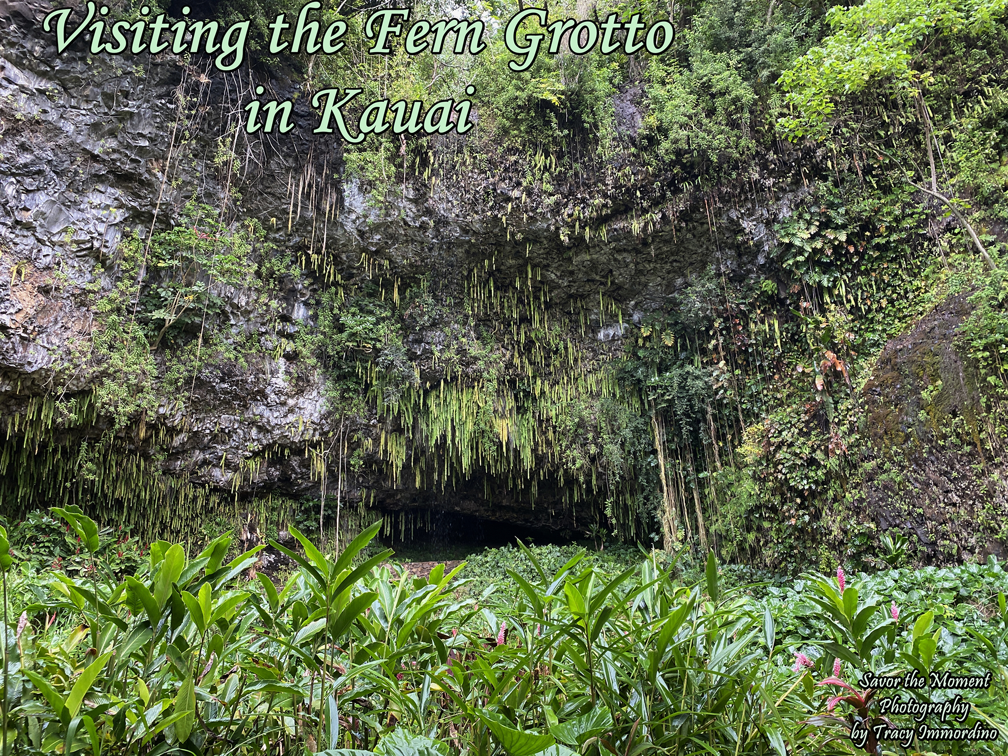 The Fern Grotto in Kauai