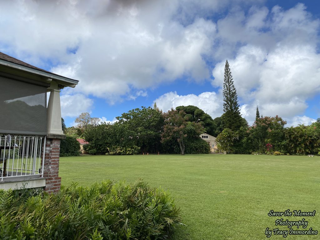 The grounds at the Kilohana Plantation