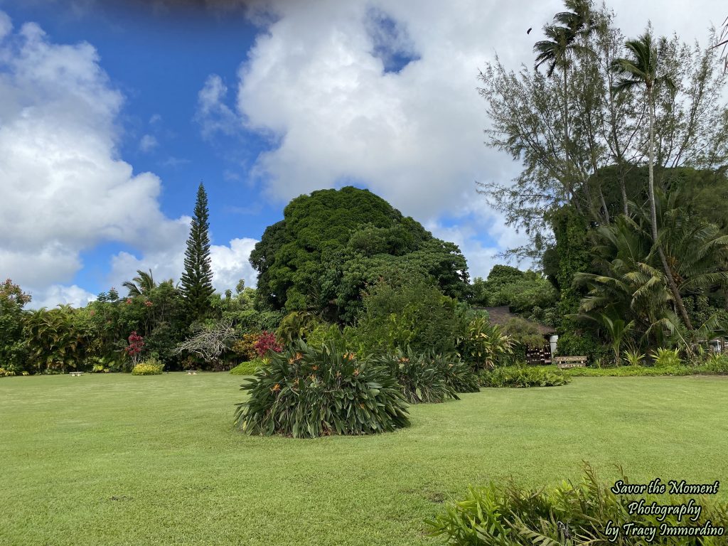 The grounds at the Kilohana Plantation