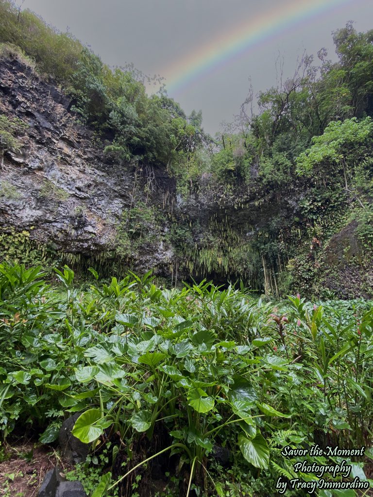 The Fern Grotto in Kauai
