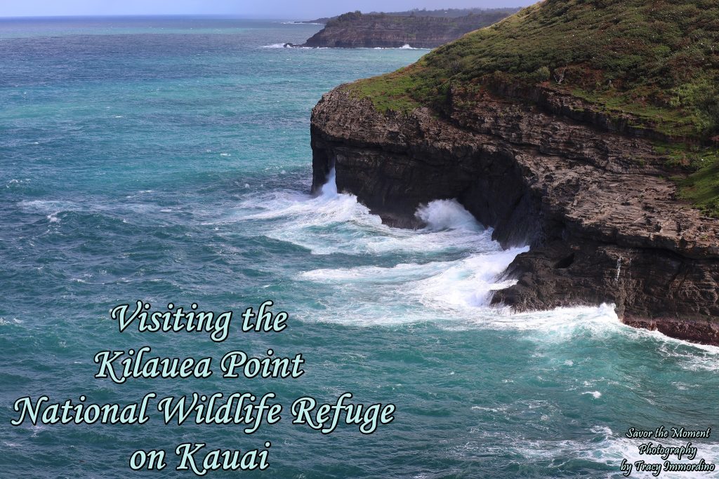 The Kilauea Point National Wildlife Refuge