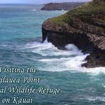 The Kilauea Point National Wildlife Refuge