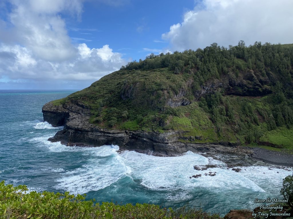 Kilauea Point National Wildlife Refuge