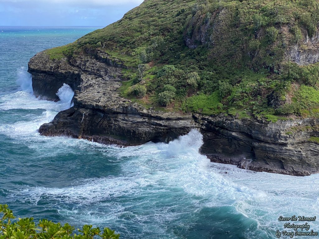 Kilauea Point National Wildlife Refuge