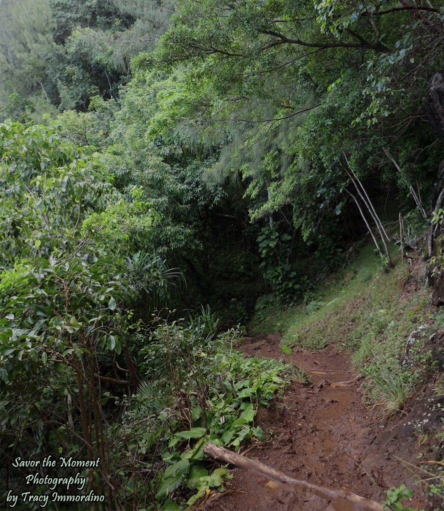 The Kalalau Trail on the Napali Coast