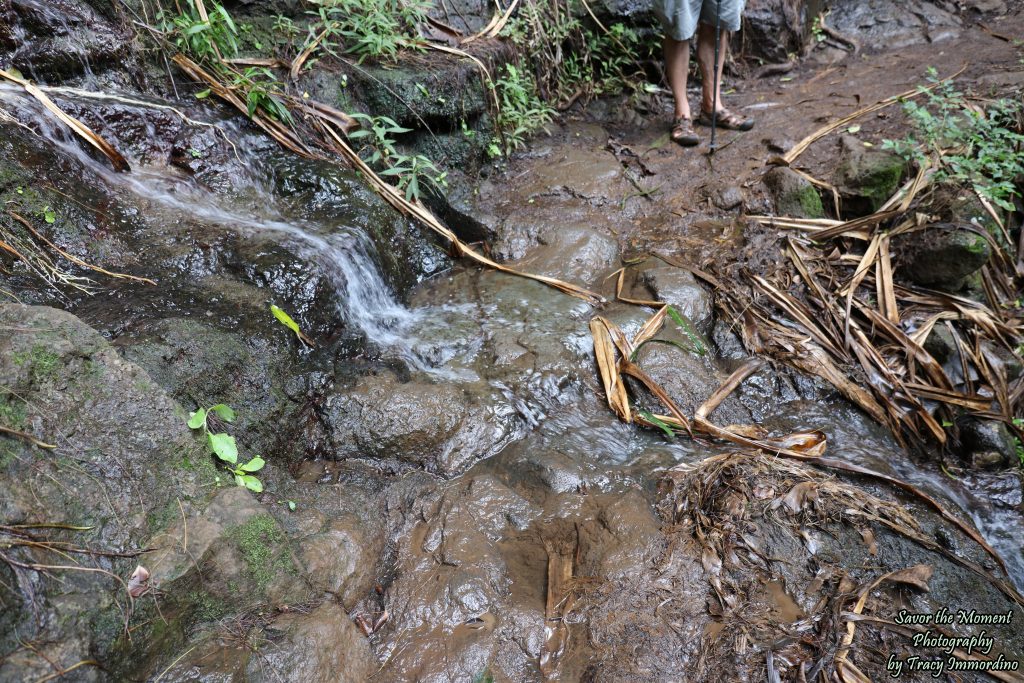 The Kalalau Trail on the Napali Coast