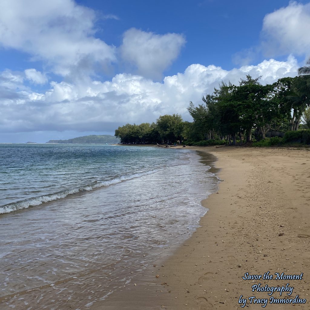 Anini Beach