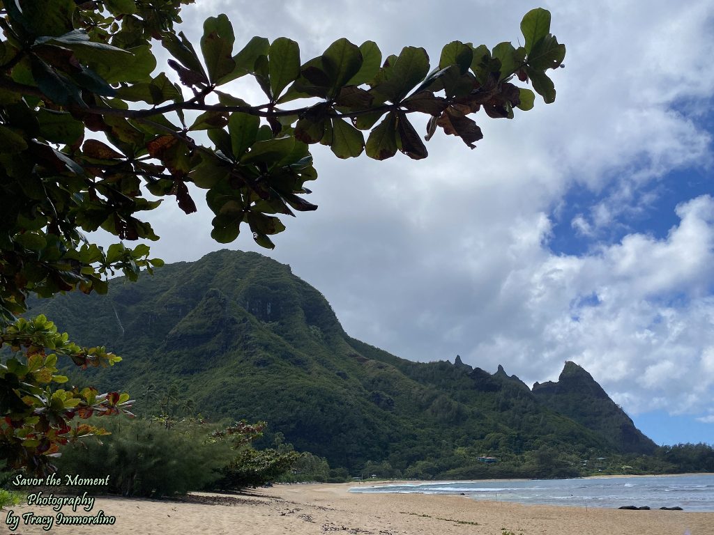 The west end of Anini Beach