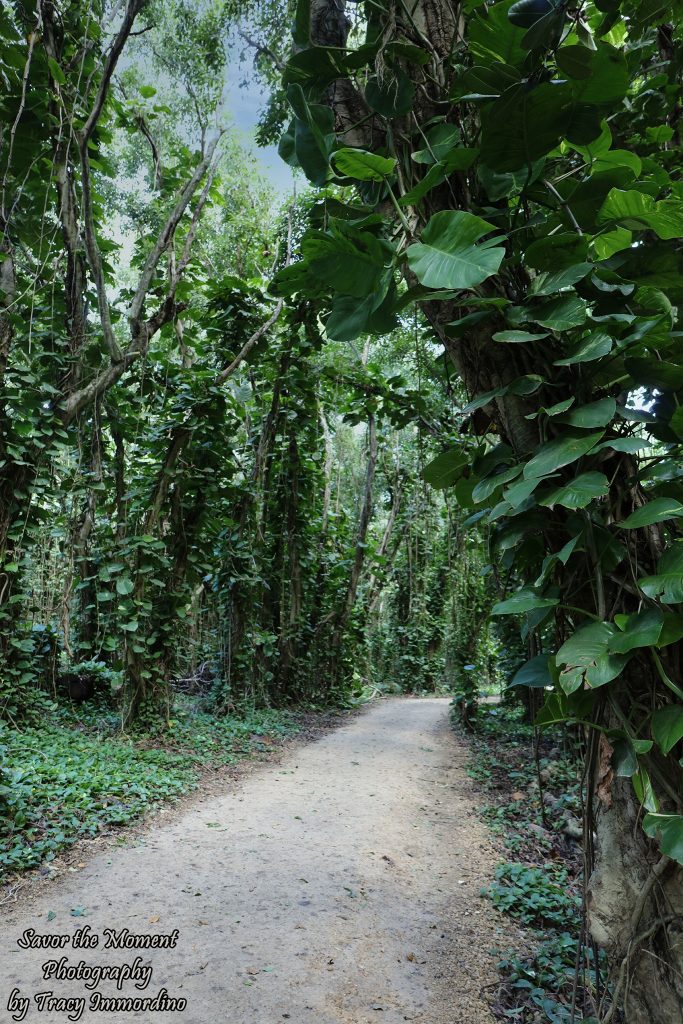 Haena State Park