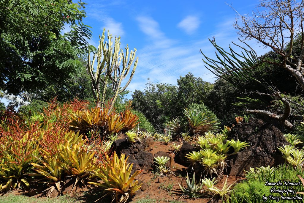 Na Aina Kai Botanical Gardens