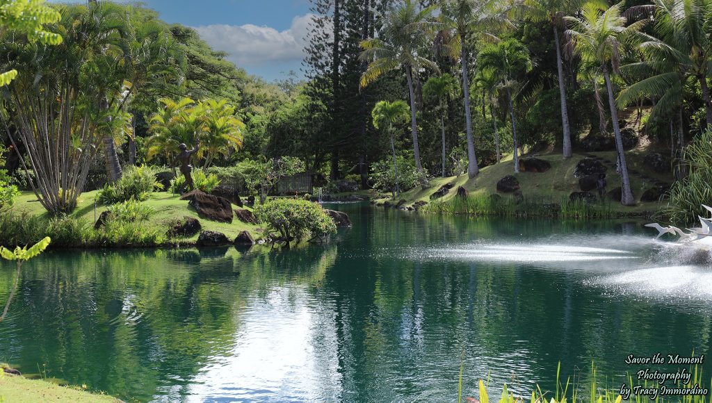 Na Aina Kai Botanical Gardens