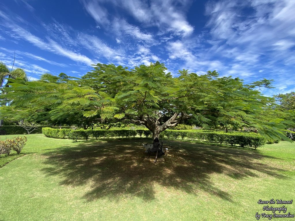 Na Aina Kai Botanical Gardens