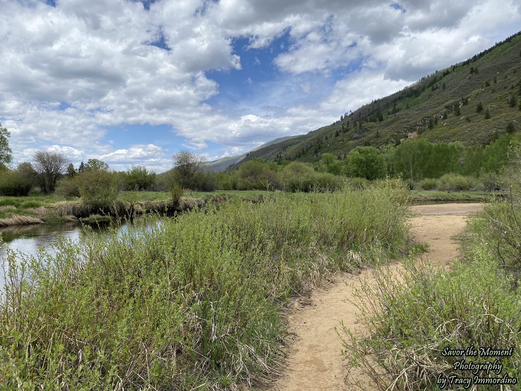 North Star Nature Preserve