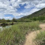 North Star Nature Preserve