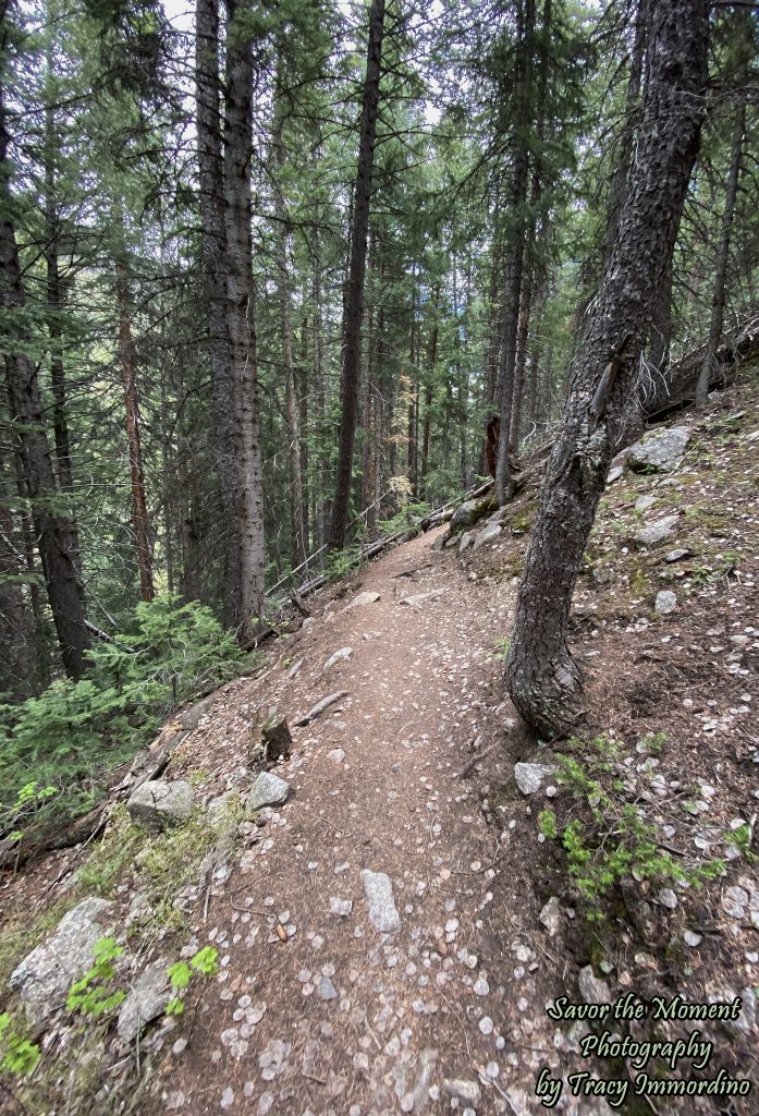 Weller Lake Trail, Aspen, Colorado