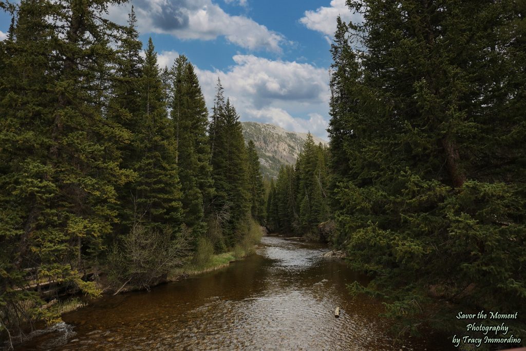 The Roaring Fork River