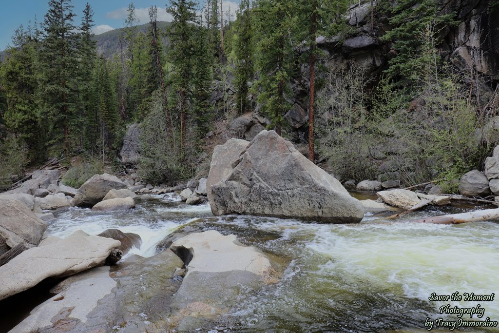 Downstream at the Cascades