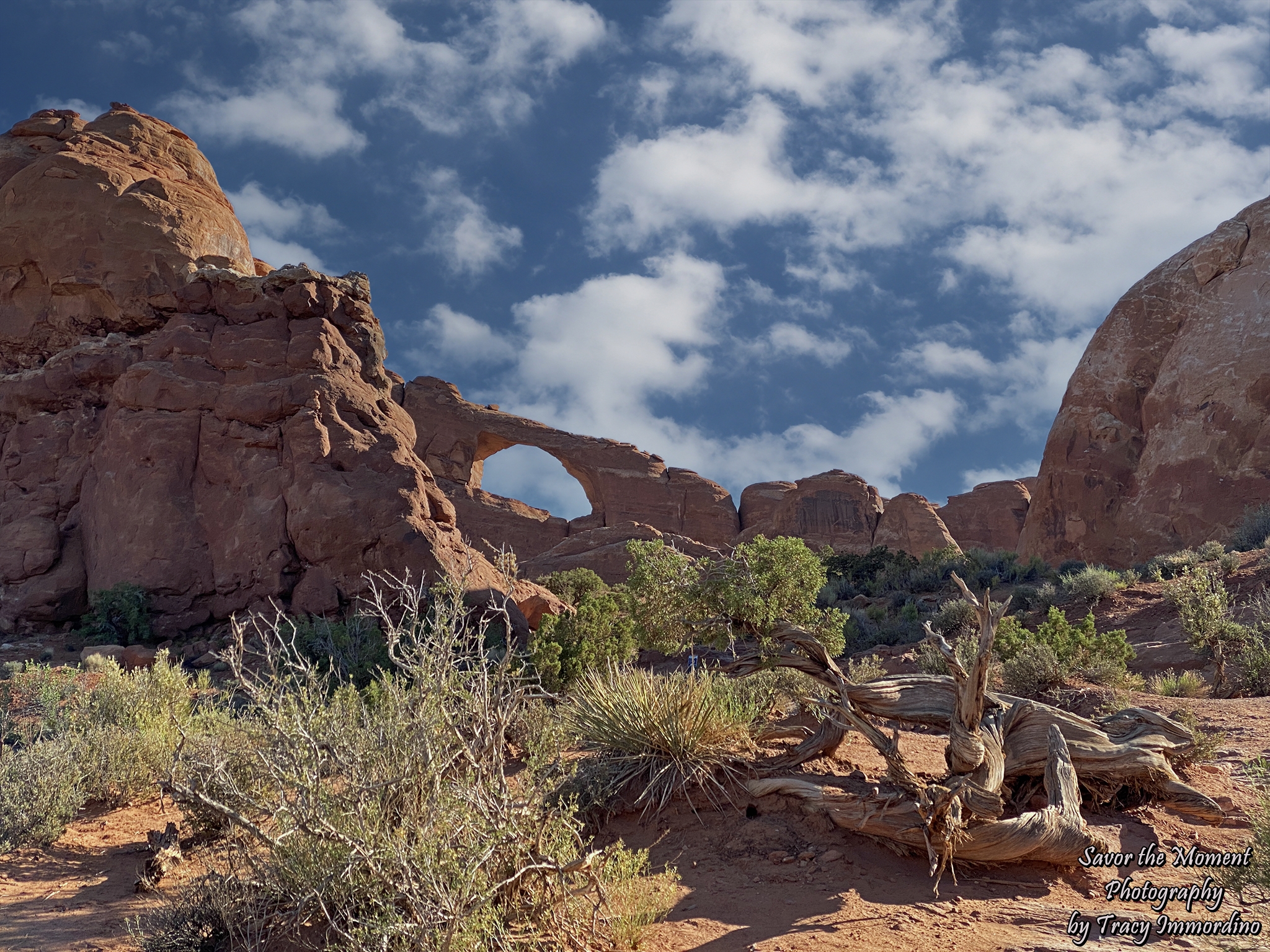 Skyline Arch Trail
