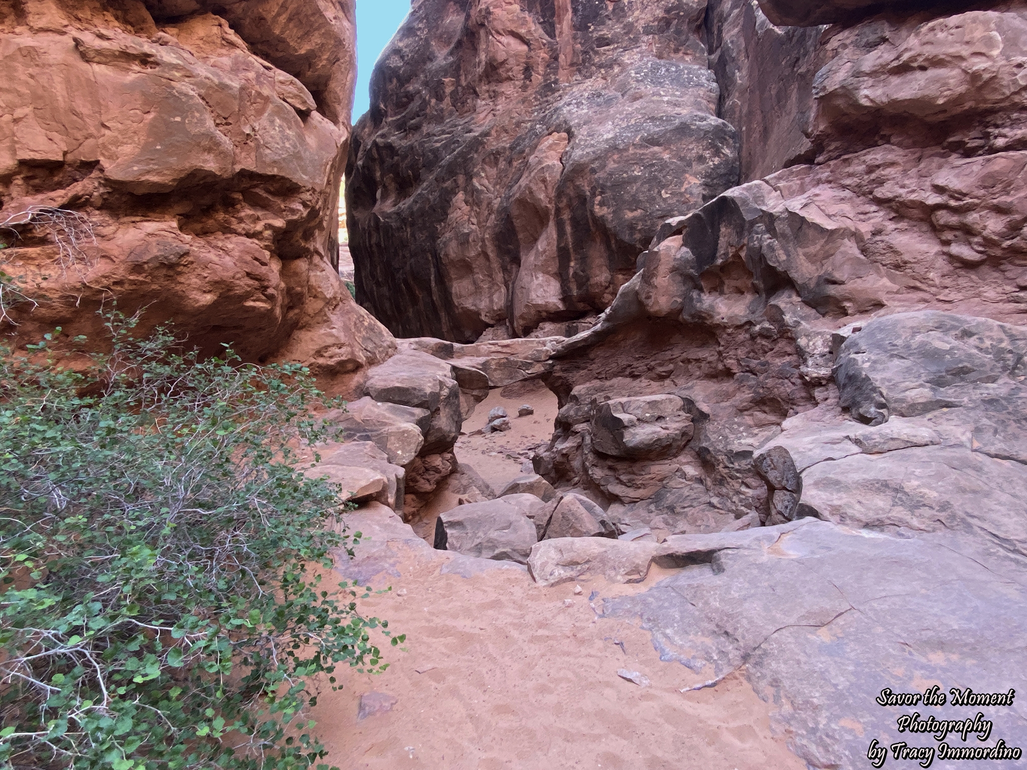 The Fiery Furnace Hike