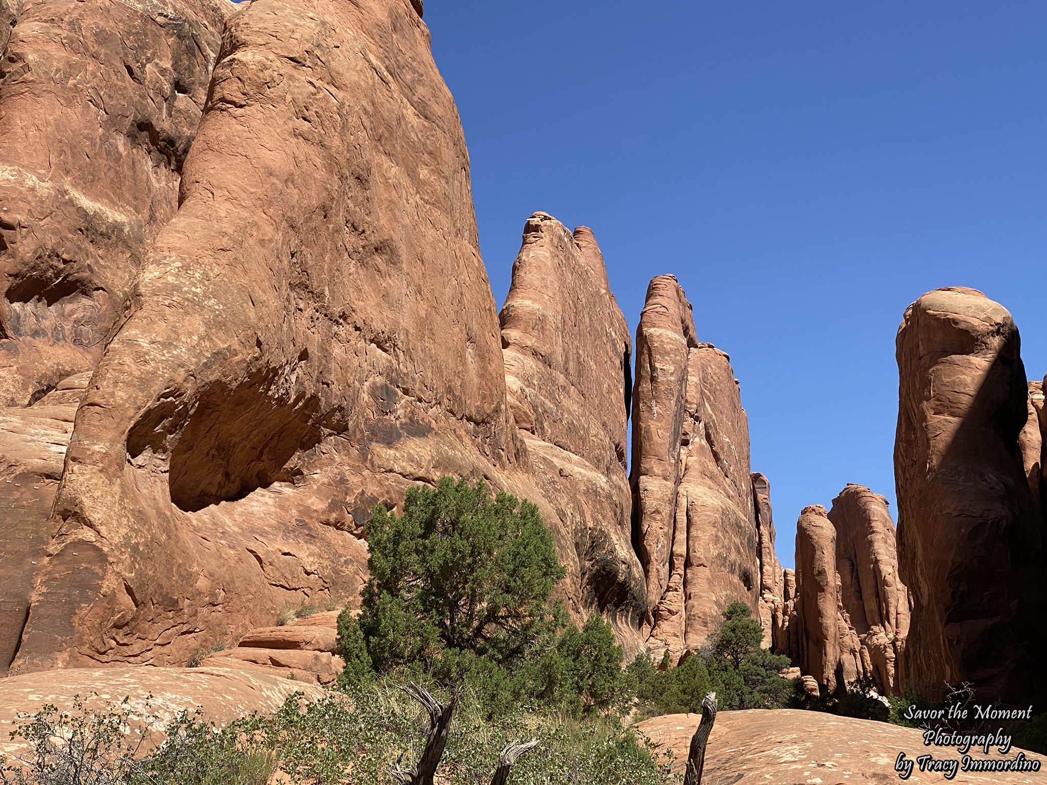 The Fiery Furnace