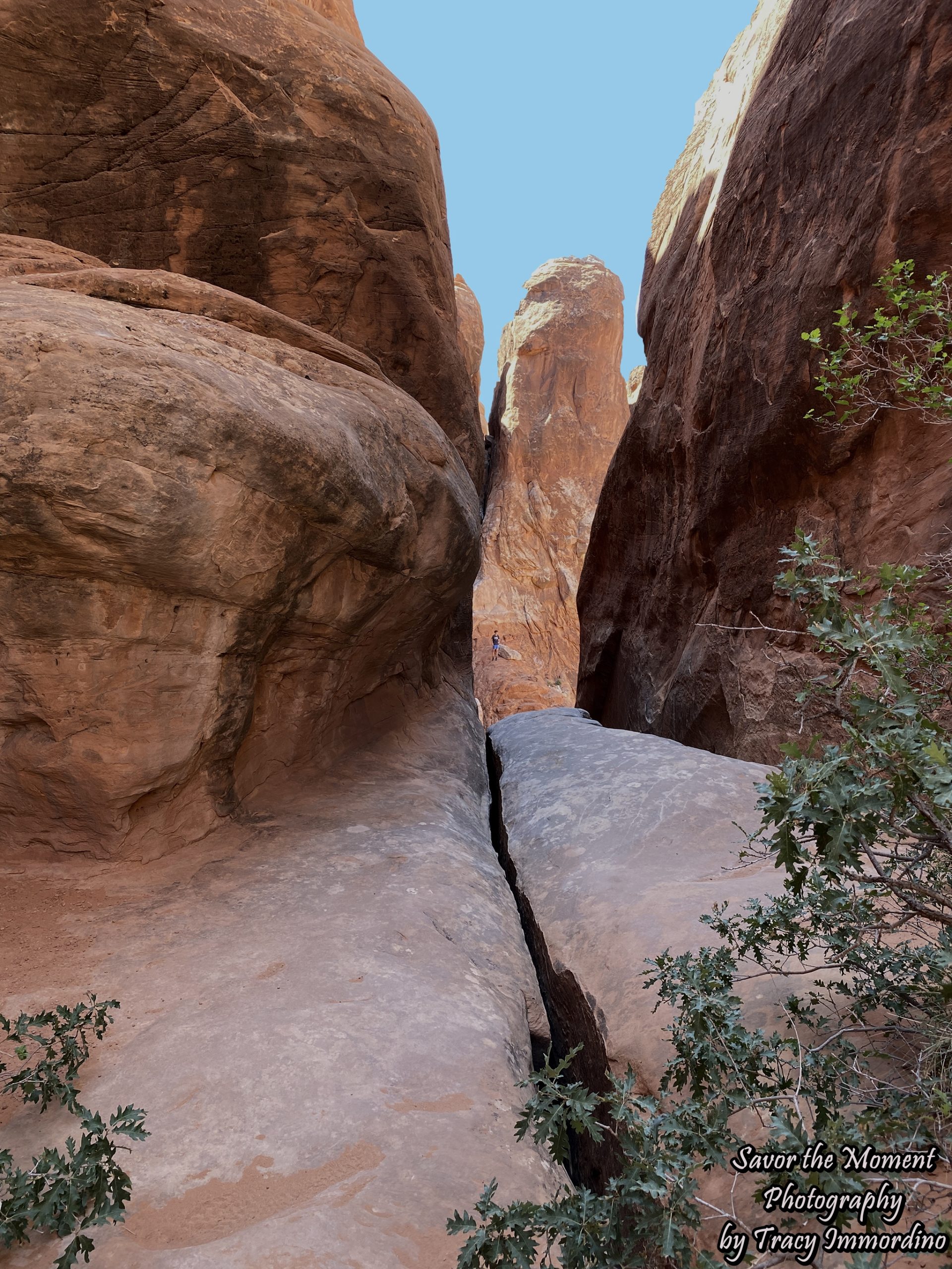 The Fiery Furnace Trail