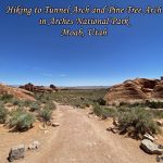 Hiking Tunnel Arch and Pine Tree Arch