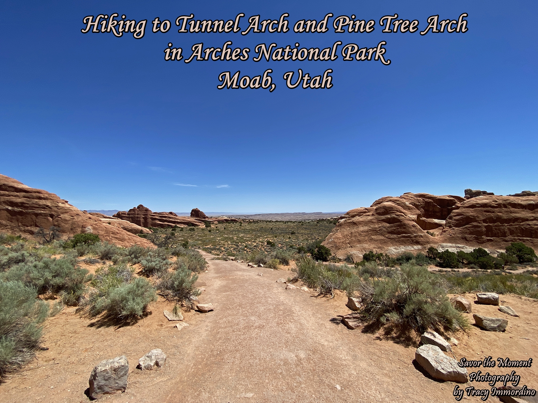 Hiking Tunnel Arch and Pine Tree Arch