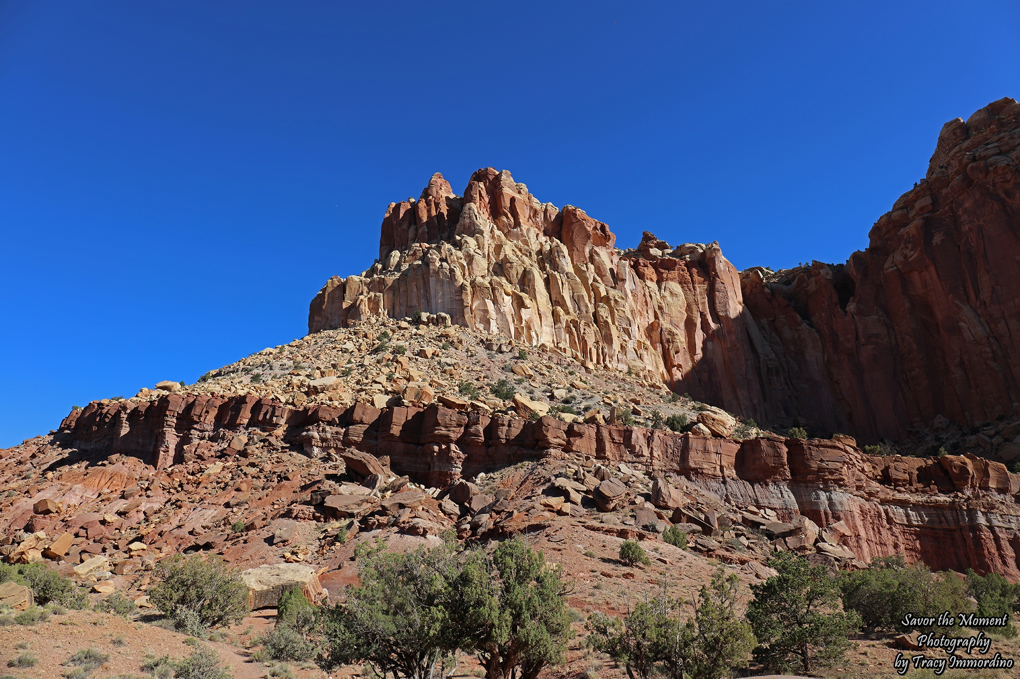 Capitol Reef National Park