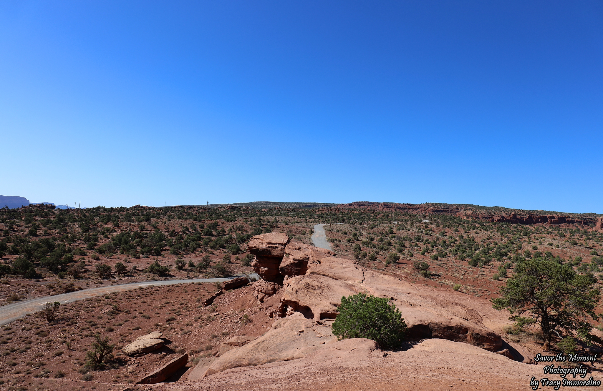 Capitol Reef National Park