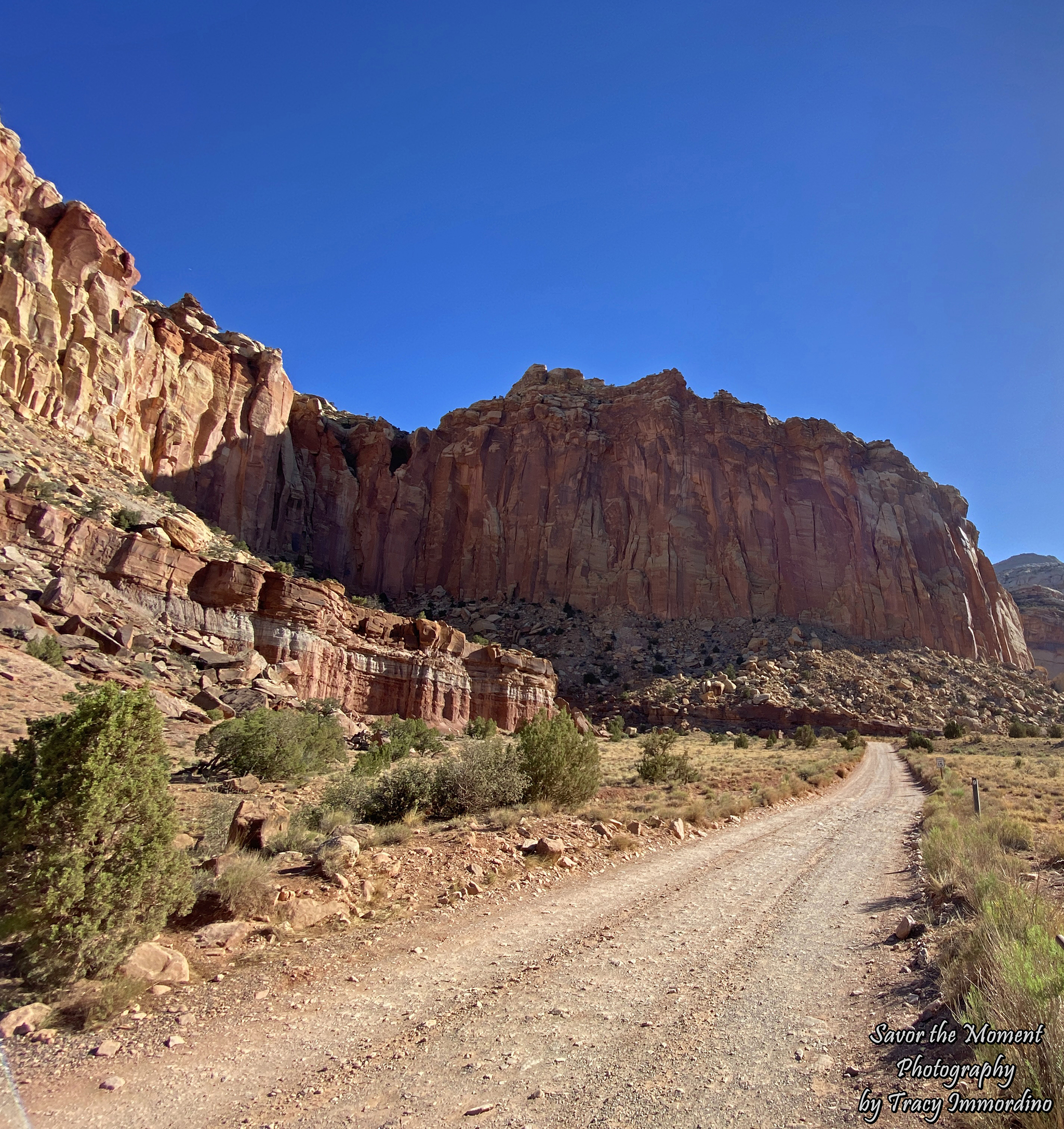 Capitol Reef National Park