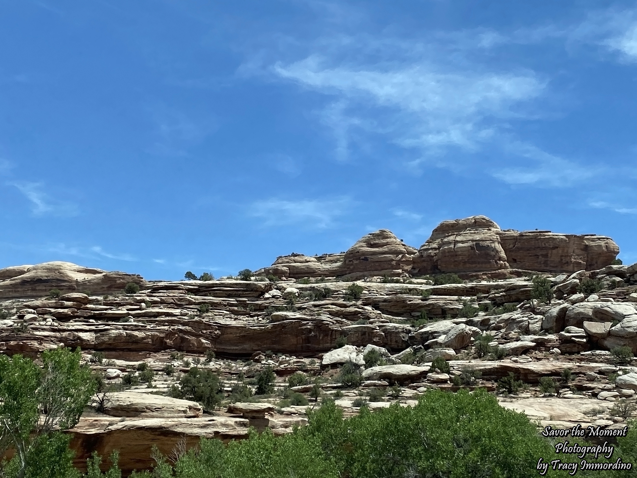 Scenic Byway 24 in Utah