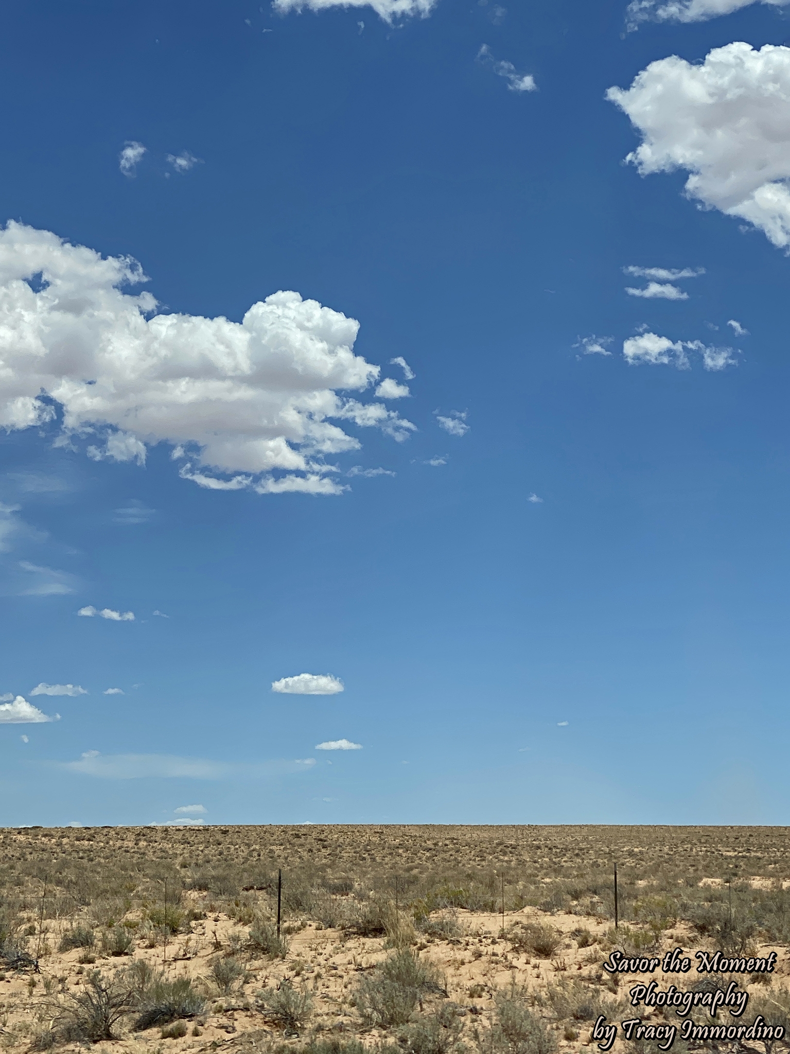 Scenic Byway 24 in Utah