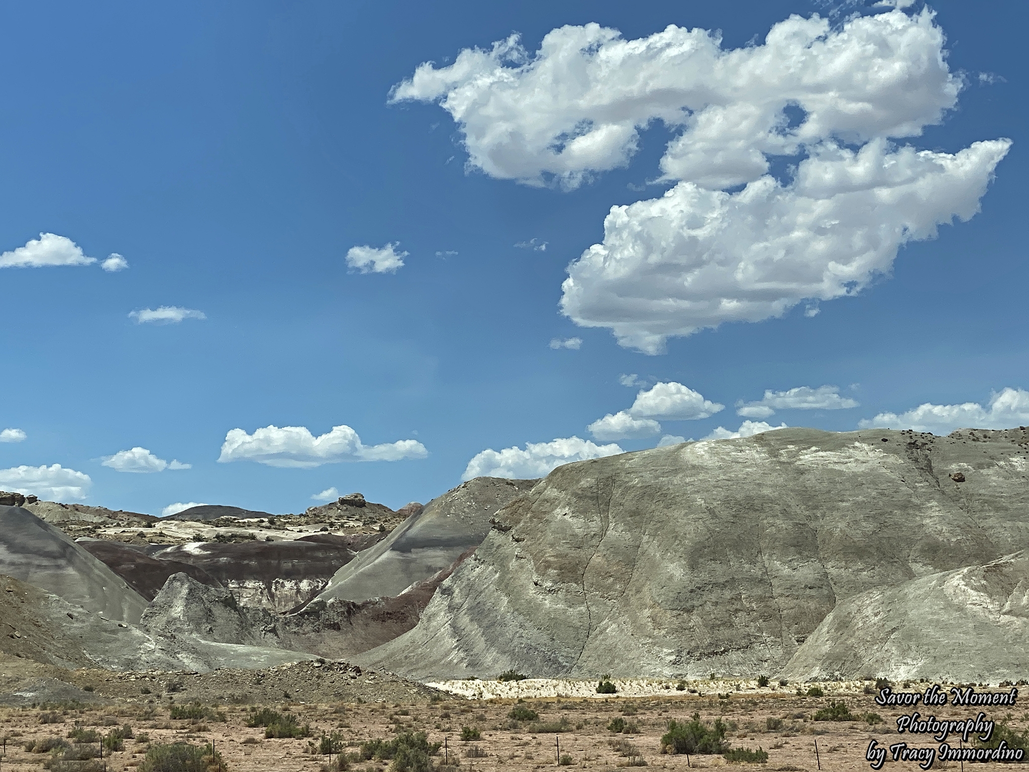 Scenic Byway 24 in Utah