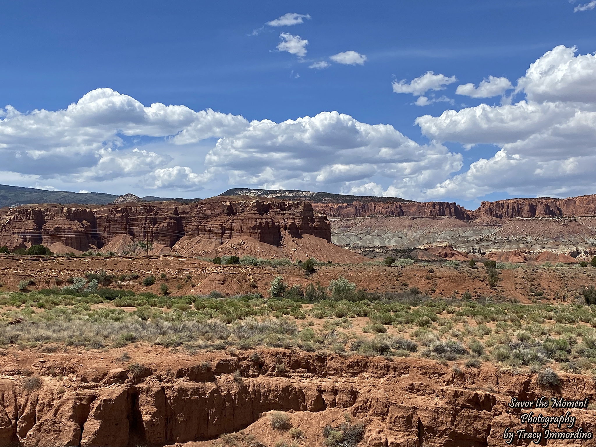 Scenic Byway 24 in Utah